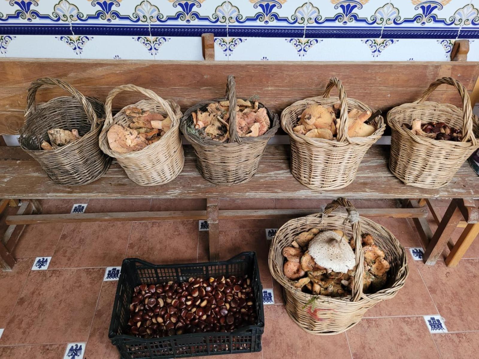 Casa Pozo Tarama Villa Casavieja Ngoại thất bức ảnh